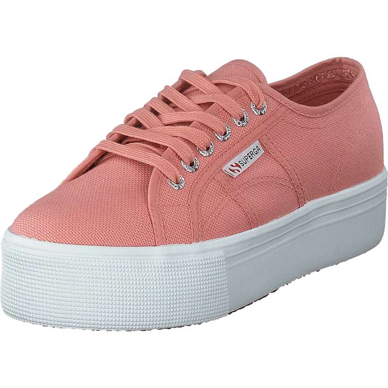 2790 Acotw Linea Rose Lobster
