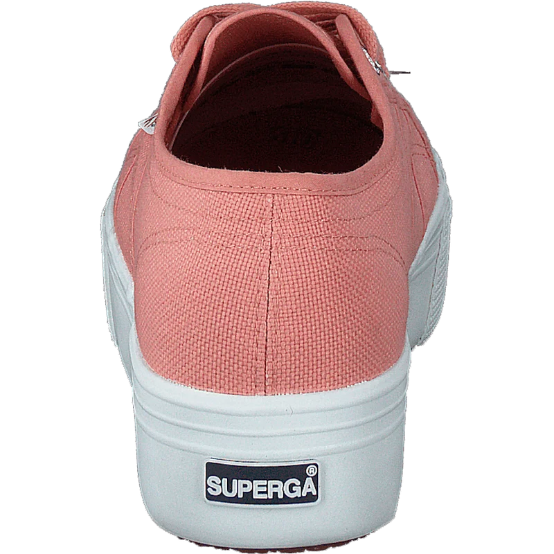 2790 Acotw Linea Rose Lobster