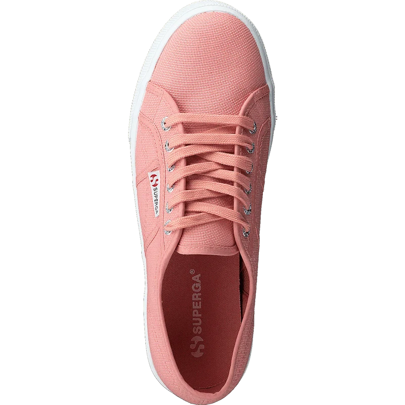 2790 Acotw Linea Rose Lobster