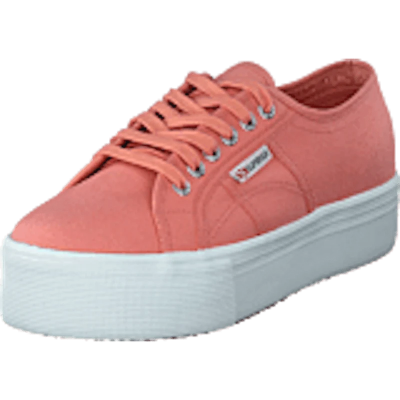2790 Acotw Linea Rose Lobster