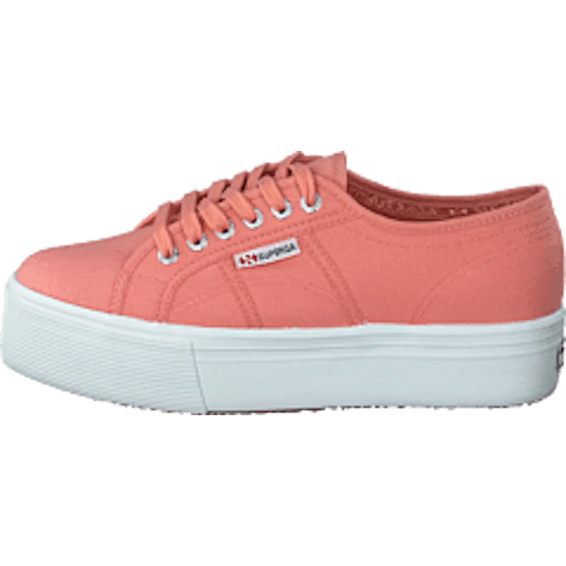 2790 Acotw Linea Rose Lobster
