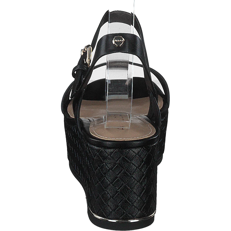 Eloiniel Black