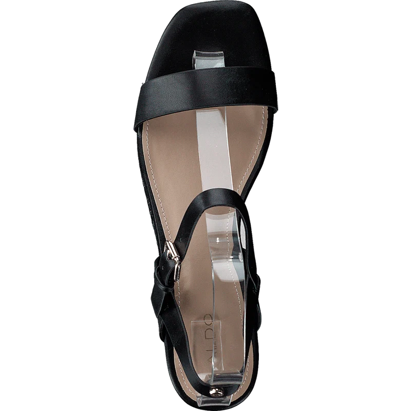 Eloiniel Black