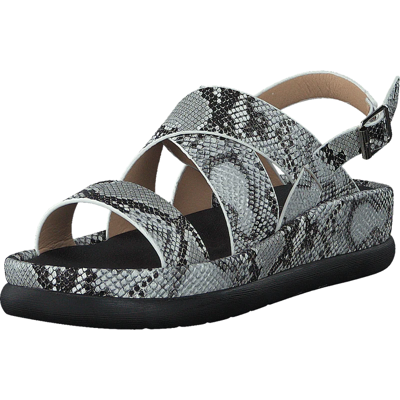 97-09095 Black/white