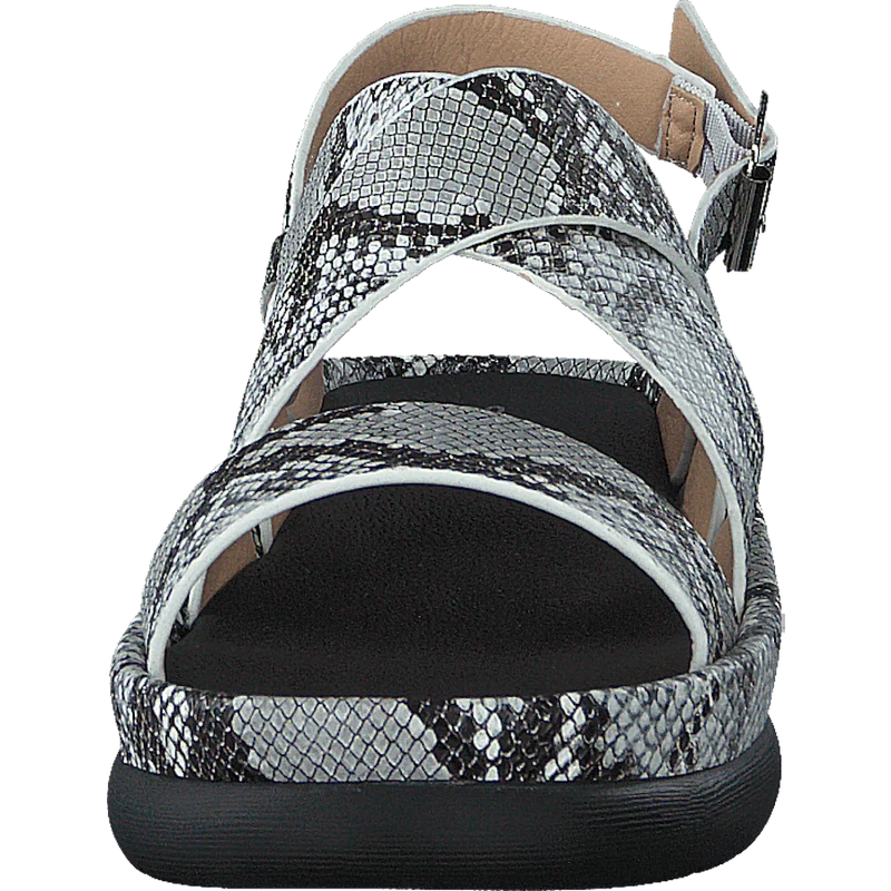 97-09095 Black/white