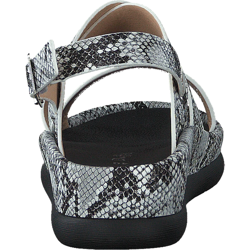 97-09095 Black/white