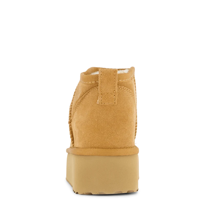 71-63501 Camel