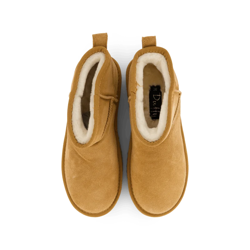 71-63501 Camel