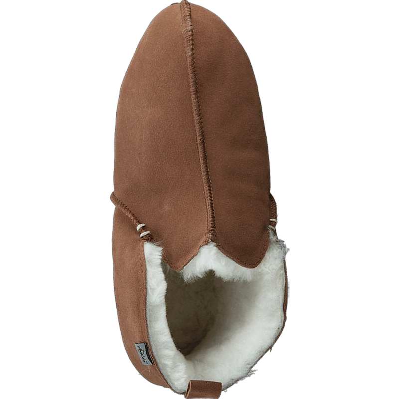 Innsbruck Chestnut