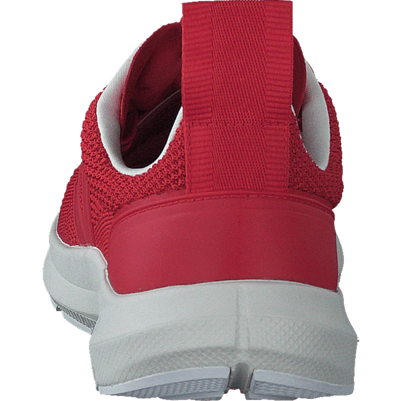 Performance Runner V-knit Rick Carnelian