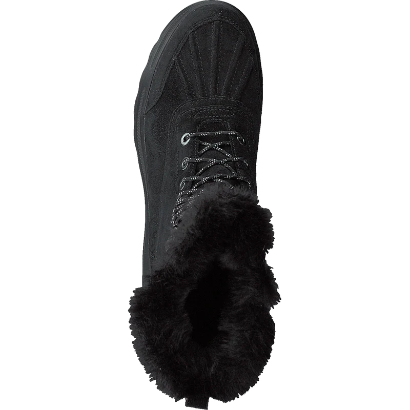 D Hosmos B Abx Black