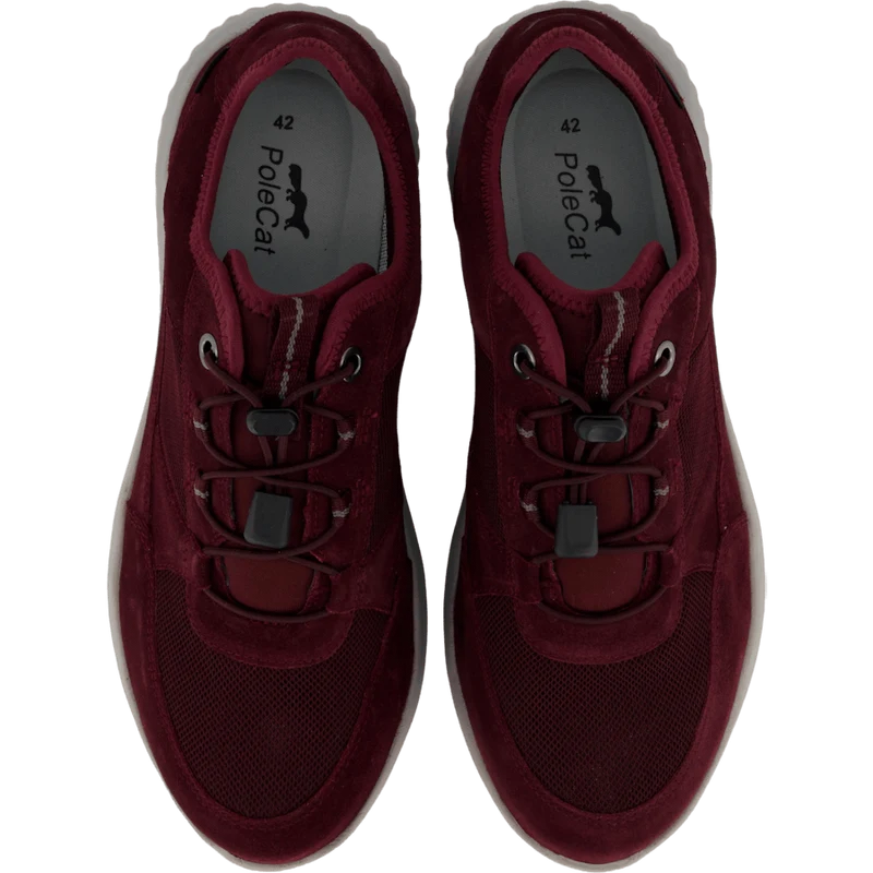 Credo Toronto Gtx Bordo