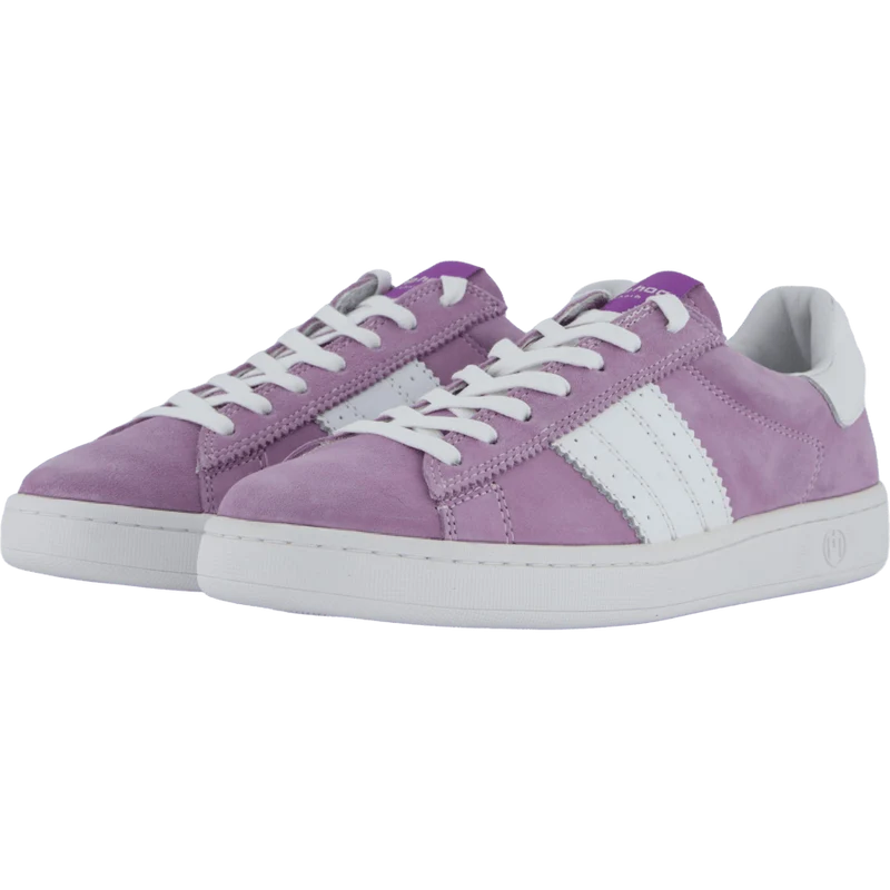 Stella Lilac