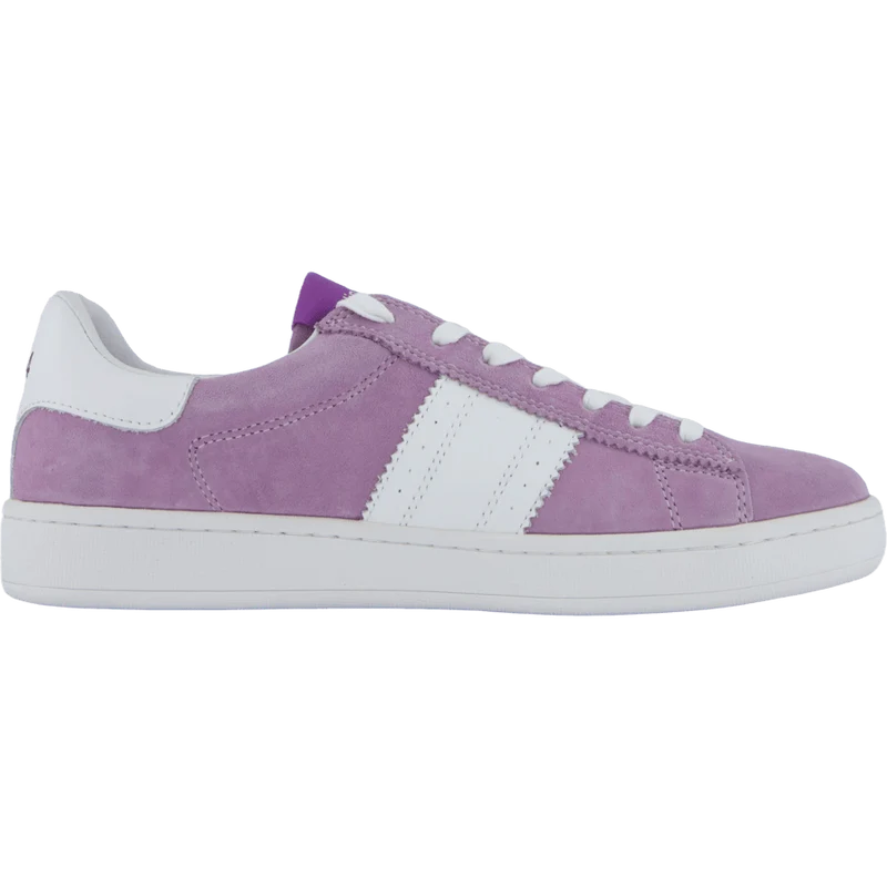 Stella Lilac