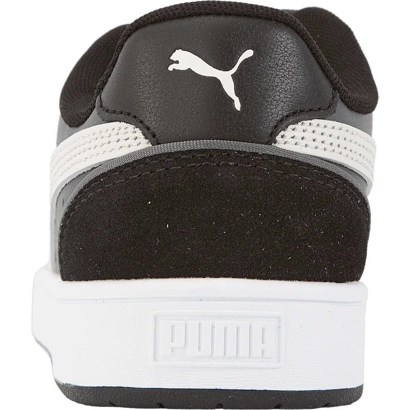 Court Guard Mix Dark Shadow-nimbus Cloud-puma