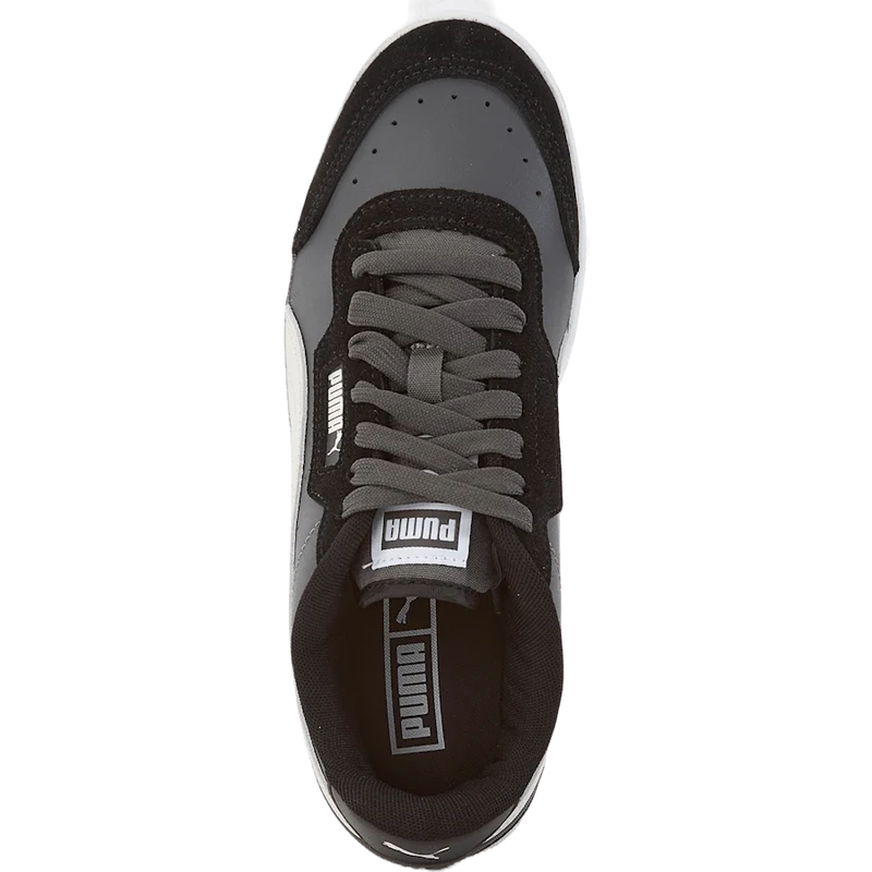Court Guard Mix Dark Shadow-nimbus Cloud-puma