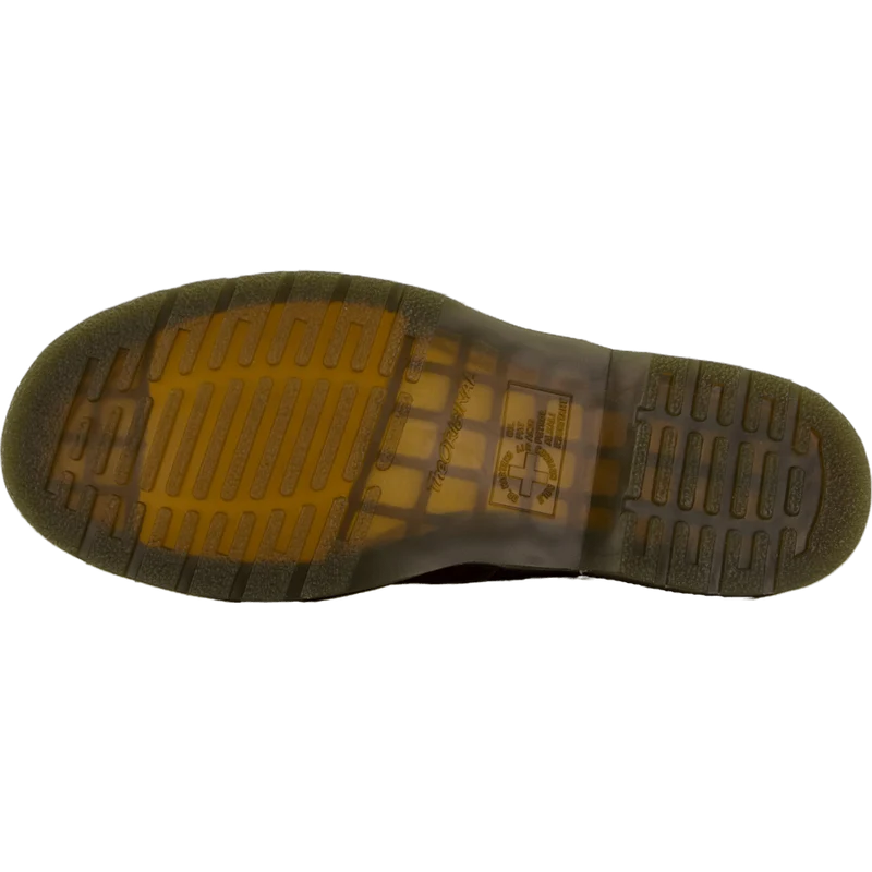 1460 Pascal Cashew Ambassador