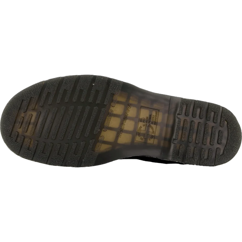 2976 Black Ambassador