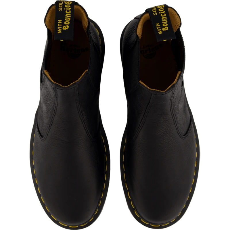 2976 Black Ambassador