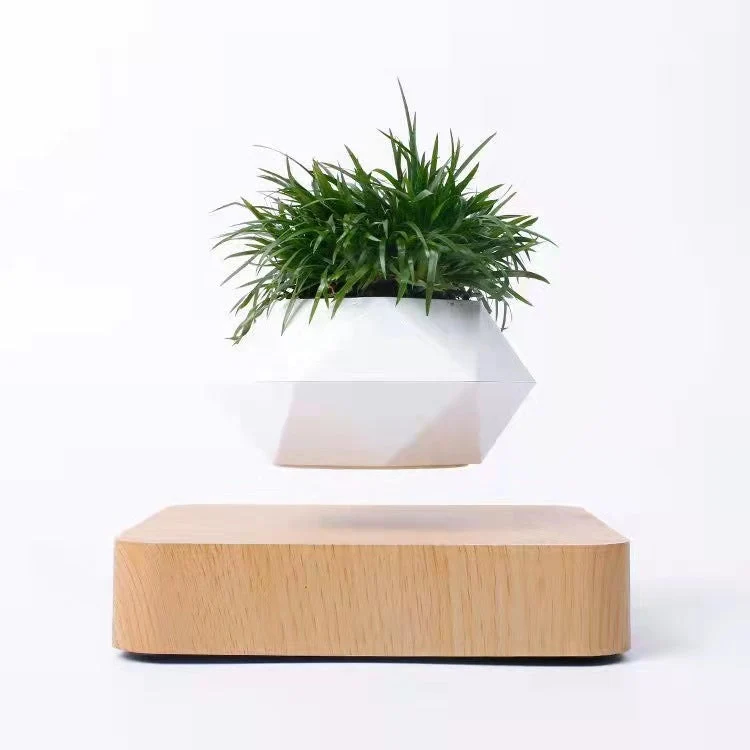 Levitating Flower Pot