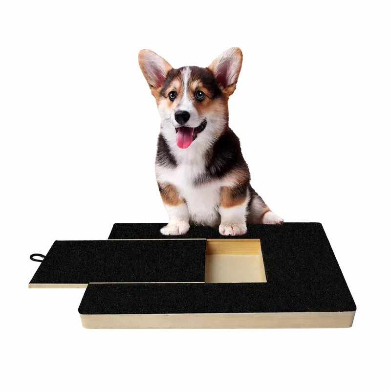 Dog Nail Scratching Board