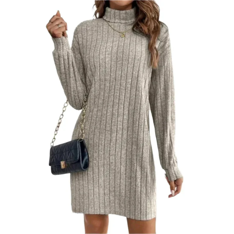 Women's Loose Fit Polyester Turtleneck Collar Dress