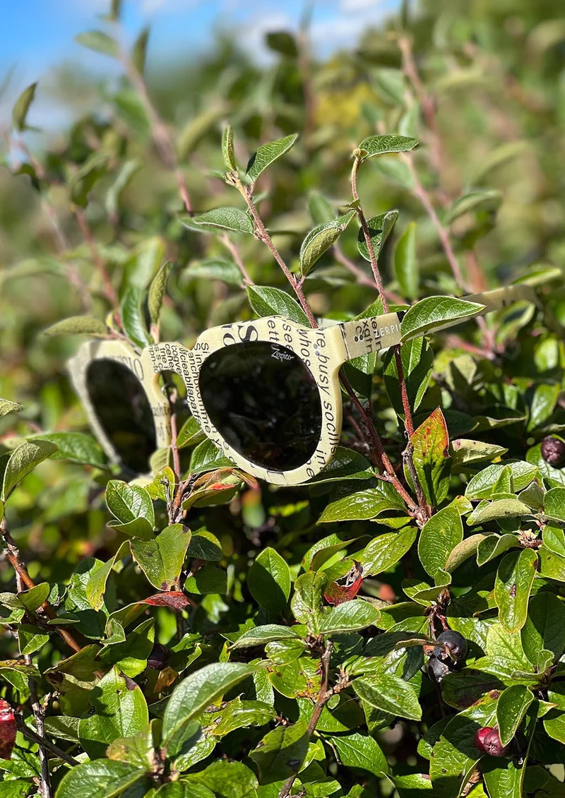 ReVision Round - Eco-Friendly Recyclable Paper Sunglasses