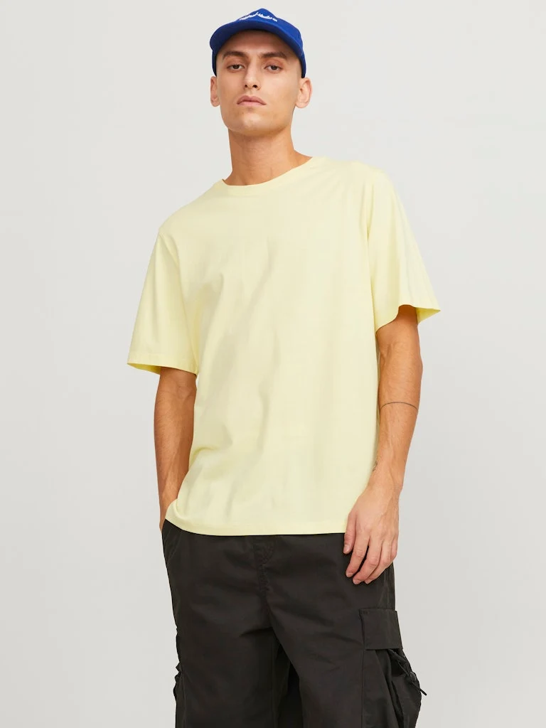 ORGANIC BASIC TEE SS O-NECK